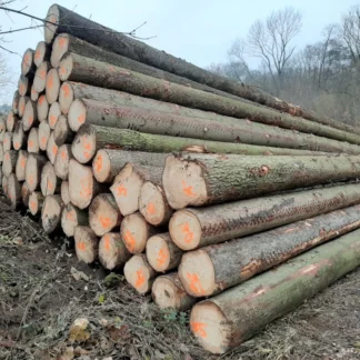 Fichtenstämme – 1 LKW-Ladung (50 Kubikmeter) – PEFC- und FSC-zertifiziert